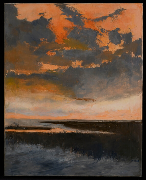 Marie Cole – ‘Storm Clouds’ – Oil. 20 H X 16 W $1600